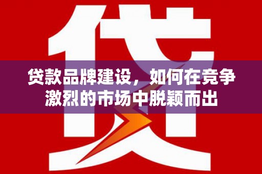 南庄贷款品牌建设，如何在竞争激烈的市场中脱颖而出