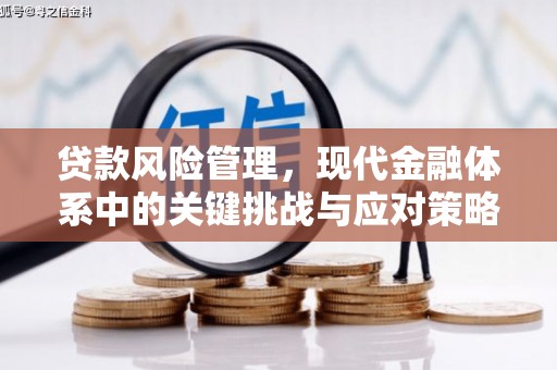 南庄贷款风险管理，现代金融体系中的关键挑战与应对策略