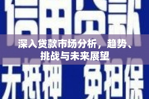 南庄深入贷款市场分析，趋势、挑战与未来展望