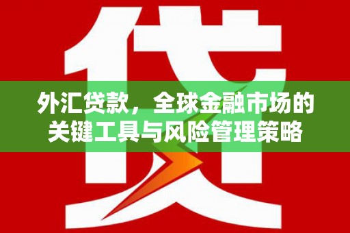 南庄外汇贷款，全球金融市场的关键工具与风险管理策略