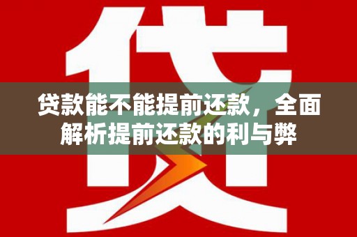 南庄贷款能不能提前还款，全面解析提前还款的利与弊