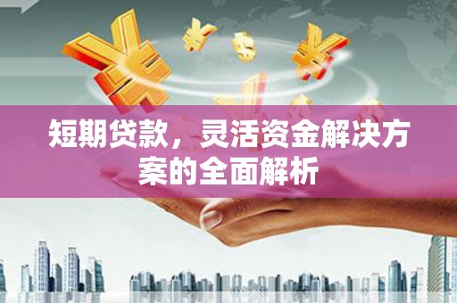 南庄短期贷款，灵活资金解决方案的全面解析