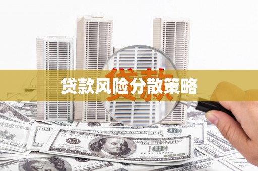 南庄贷款风险分散策略