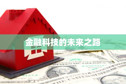 南庄金融科技的未来之路