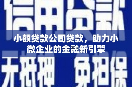 南庄小额贷款公司贷款，助力小微企业的金融新引擎
