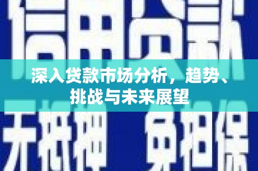 南庄深入贷款市场分析，趋势、挑战与未来展望