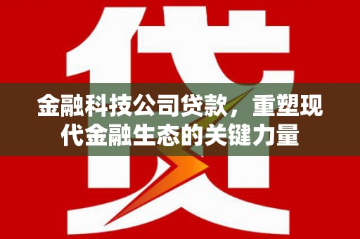 南庄金融科技公司贷款，重塑现代金融生态的关键力量
