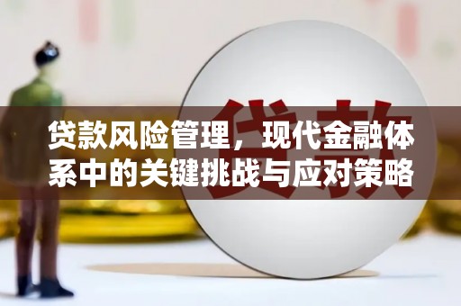 南庄贷款风险管理，现代金融体系中的关键挑战与应对策略