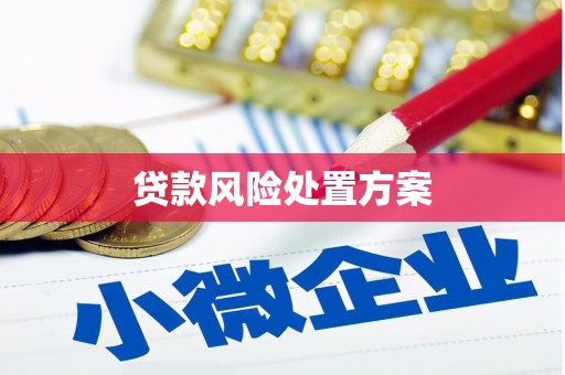 南庄贷款风险处置方案