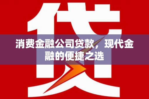南庄消费金融公司贷款，现代金融的便捷之选