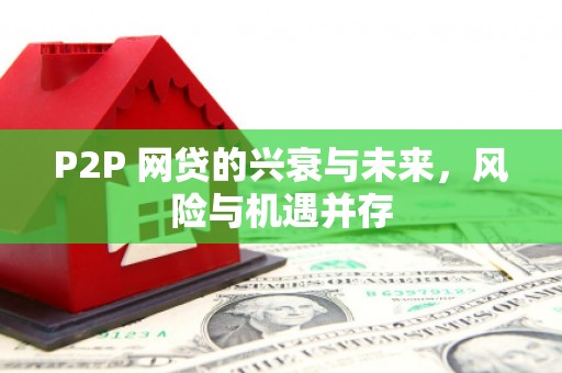 南庄P2P 网贷的兴衰与未来，风险与机遇并存
