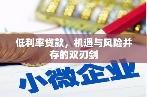 南庄低利率贷款，机遇与风险并存的双刃剑