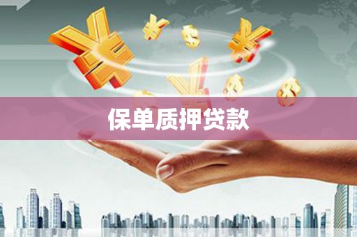 南庄保单质押贷款