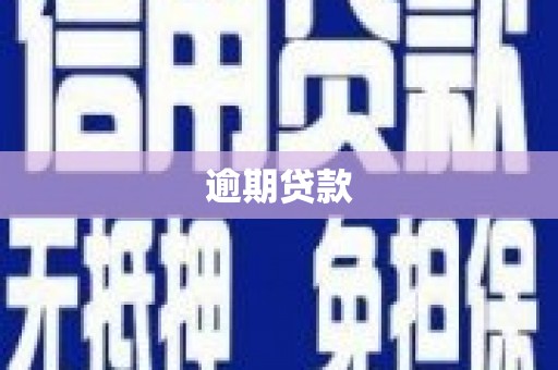 南庄逾期贷款