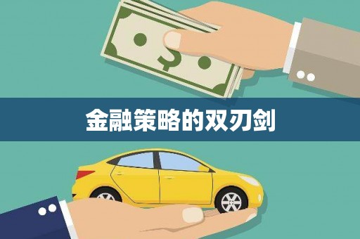 南庄金融策略的双刃剑