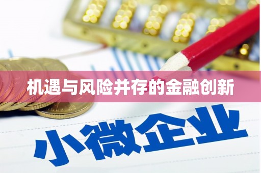 南庄机遇与风险并存的金融创新