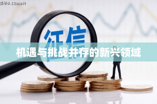 南庄机遇与挑战并存的新兴领域