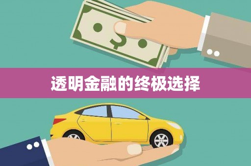 南庄透明金融的终极选择
