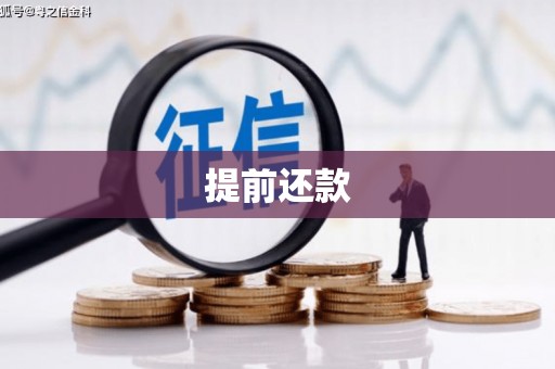 南庄提前还款