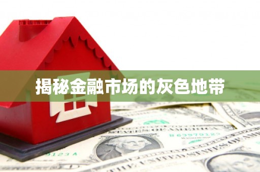 南庄揭秘金融市场的灰色地带