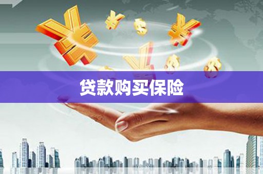 南庄贷款购买保险