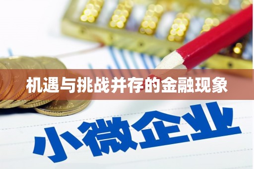 南庄机遇与挑战并存的金融现象