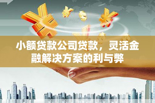 南庄小额贷款公司贷款，灵活金融解决方案的利与弊