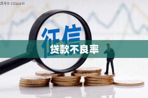 南庄贷款不良率