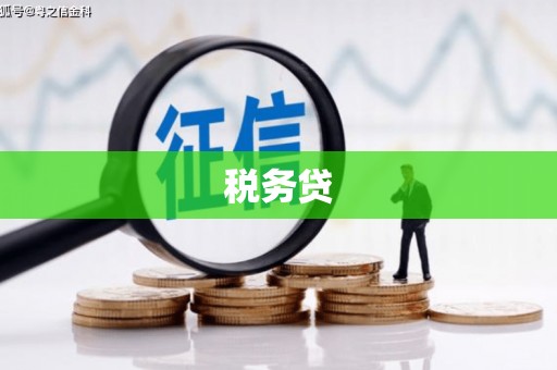 南庄税务贷