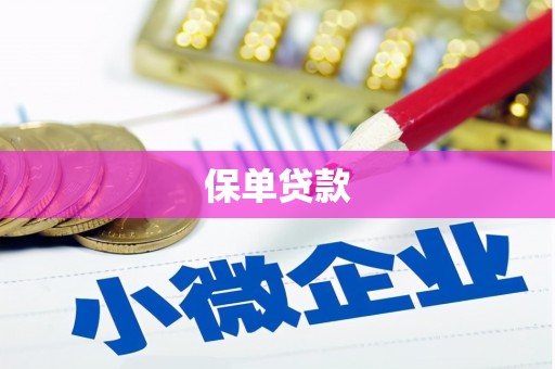 南庄保单贷款